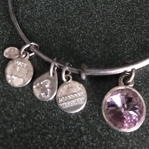 Alex and Ani Expandable Wire Bracelet Pink Charm - Picture 12 of 16